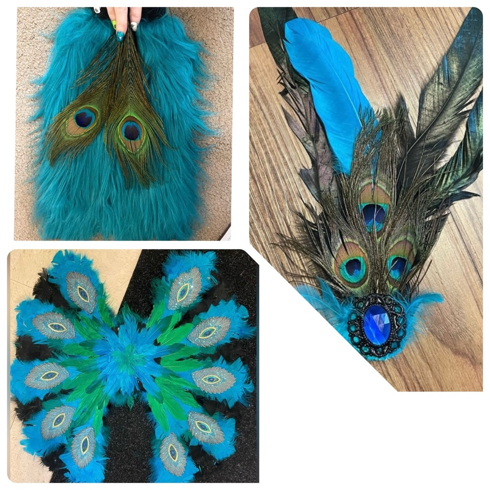 SALE - 3-Piece Peacock Halloween Costume Accessories